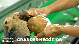 Why Coconut Farmers Risk Their Lives for Superfoods | Big Business