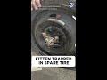 Garden Grove firefighters save kitten trapped in spare tire