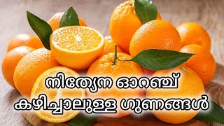 ഓറഞ്ച് ആരോഗ്യഗുണങ്ങൾ അറിയാം #youtube #orange #orangebenefits #healthbenefits #healthyfood #citrus