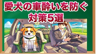 【犬とのドライブ】たったこれだけで車酔いを防ぐ！5つの対策と予防法【獣医師解説】