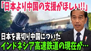 【海外の反応】中国「インドネシア鉄道の試乗はしたくないw」作った張本人である中国政府がインドネシア高速鉄道をポンコツと認める→インドネシア政府大パニック！【アメージングJAPAN】