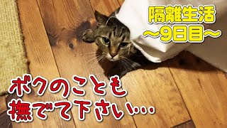 【自宅療養生活9日目】ずっと大人しかったあの子もとうとう部屋の前にやって来て…！？