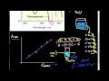 Detecting Proteins at 280 nm by UV-Vis: Why? How?