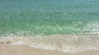 Destin florida Weather