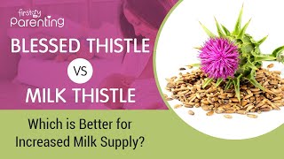 Blessed Thistle or Milk Thistle for Increasing Milk Supply  - What to Choose?