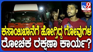 Cows Save: ಕೇರಳದ ಕಸಾಯಿಖಾನೆಗೆ ಹೋಗ್ತಿದ್ದ ಗೋವುಗಳನ್ನ ರಕ್ಷಿಸಿದ ಯುವಕರು | #TV9D