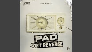 C Pad Soft Reverse