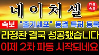 ♦️[네이처셀 주가전] ♦️국내 특허등록 완료! 이제 목표가 20만원 갑니다! #네이처셀대응  #네이처셀대응  #네이처셀 #fda승인 #네이처셀분석 #네이처셀전략 #주식콜센터