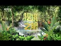 《秘境之眼》 豹猫 20240716 cctv