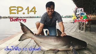 ตกปลาบึก EP.14 | ทริปแรกหลังปีใหม่ที่บึงสำราญ by ลงหลังทีม