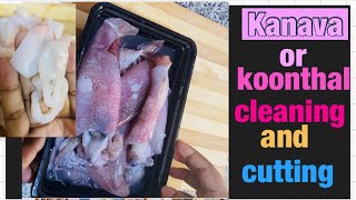 Koonthal / Kanava meen Cleaning In Malayalam/ Squid Cleaning/ Kanava Cleaning and Cutting