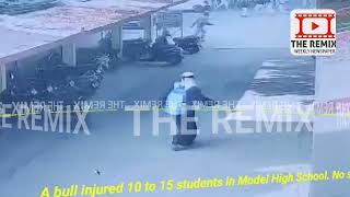 A bull injured 10 to 15 students in Model High School Aurangabad Maharashtra India