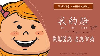 【跟着詹老师上学趣】学前科学 l 我的脸 l Versi BM l Muka Saya