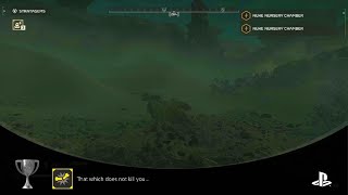 HELLDIVERS 2 - How to injure every limb at once!