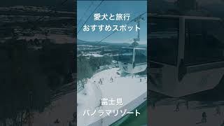 愛犬と長野方面へ行く際には、ここがちょーおすすめ！！　#富士見パノラマリゾート  ゴンドラ🚟に乗って山頂まで愛犬と行ける！　映える写真撮れること間違いなし！