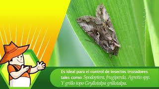 Clorpilaq 48 - Insecticida Agrícola - Agripac