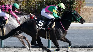 中京スポーツ杯　ダ1400m (左) 　アルムブラーヴ　牡5　58.0　丸山元気　2024.3.9　　出走馬：スマートアンバー、ラックスアットゼア、メイショウヒューマ、イグザルト、メイショウフジタカ他