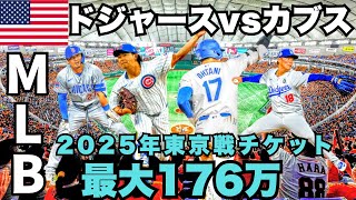 ドジャースとカブスが東京ドームで試合🇺🇸 最大176万円の席あり！大谷翔平率いるドジャースvs今永昇太率いるカブス激突【LA】山本由伸/鈴木誠也/Dodgers/MLB/Los Angels/Cubs