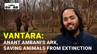 'You earn Punya by helping animals - They face cruelty and extinction'