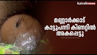 മണ്ണാർക്കാട്  കാട്ടുപന്നി കിണറ്റിൽ അകപ്പെട്ടു | Wild boar