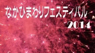 花火－１　なかひまわりフェスティバル２０１４