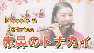 【ピッコロ＆フルート】赤鼻のトナカイ / クリスマスソング / 演奏してみた / フルートアンサンブル / 冬ソング