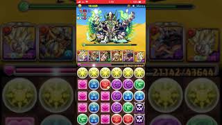 「パズドラ」工龍契士の創殿六節[落ちコンなし]