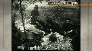 柳井原の花見（1937年）【100年Disk】｜岡山映像ライブラリーセンター