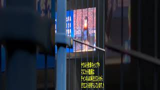 つば九郎ヘルメットチャレンジ成功なるか？　プロ野球マスコット