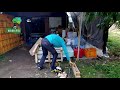 diy 30분이면 만드는 파렛트의자 만들기 정원꾸미기 wooden pallet bench making 파렛트 벤치 만들기