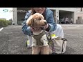 2024狂犬病予防注射会場のドタバタ劇① 富山市保健所編