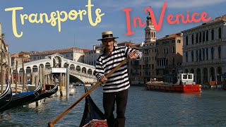 How to move around Venice. Prices and services.