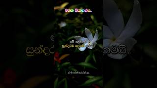 ලෝකේ තියෙන සුන්දරම දෙයක් තමයි...❤#trending #motivation #trend #love #status #motivational #inspire