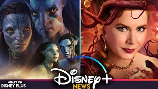 "Avatar: The Way Of Water”  & “Disenchanted” Trailers Released | Disney Plus News