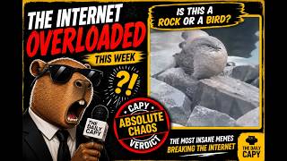 THE INTERNET WENT TOO FAR AGAIN