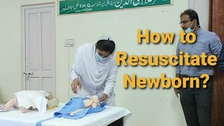 How to Resuscitate Newborn Baby?