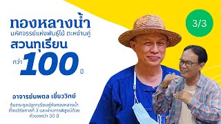 🔴  ปลูกทุเรียน โตและรอดด้วยต้นทองหลางน้ำ ภูมิปัญญากว่า 100 ปี #สวนทุเรียน  ตอน 3/3 (พร้อมแขกพิเศษ)