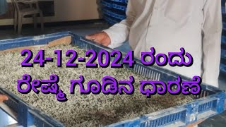 Mulberry Cocoon Price As on 23-12-2024 at Karnataka Govt. Cocoon Market.