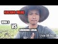 Perbandingan kacang hijau Vima 5 dengan Gronong lokal di usia 25 hari.!!!