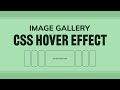 Create Sleek Image Gallery with Captivating Hover Effect