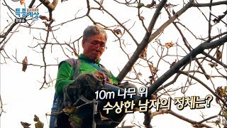 10m 나무 위 수상한 남자의 정체는? [현장르포 특종세상 395회]