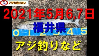 2021年5月6、7日福井県のアジ釣りなど