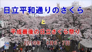 2019年第57回日立のさくらまつり（2019年4月6･7日）