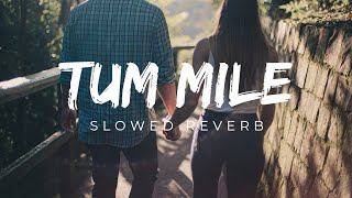 Tum Mile (Slowed And Reverb) Hindi Lofi Song | Ujjal Lofi