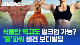 채식주의자는 근육을 못 키운다고? 캥거루 형님도 초식동물이셔; / 스브스뉴스