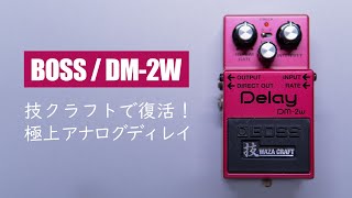 【BOSS DM-2w】大好きなアナログディレイDM-2ｗ!! 発振もあるよ。