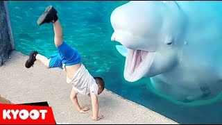 Beluga Whale is AMAZED by Tricks!  | Funny Aquarium s