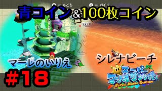 【実況】青コイン集めinマーレのビーチ！　スーパーマリオ3Dコレクション　コンプリートツアーpart18【スーパーマリオサンシャイン】