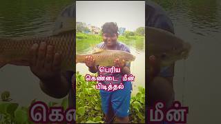 🐠🐋தரமான தம்பி போராடி பிடித்த பெரிய கெண்டை மீன் #shorts #fishingclicks