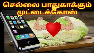 Cabbage poriyal in Tamil | சுவையான முட்டைக்கோஸ் பொறியல் | Cook with Arul| #cabbage_benifits #cabbage